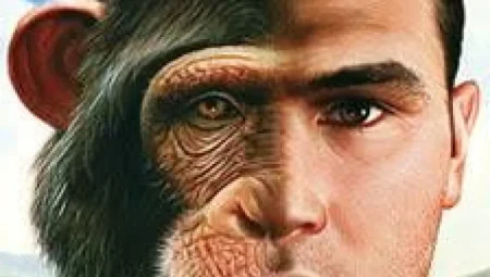 İnsan DNA’sının %99’u Şempanzelerle Aynı! Aradaki %1’lik Fark Ne Anlama Geliyor?