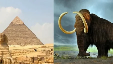 Mısır Piramitleri İnşa Edilirken Mamutar Hâlâ Hayattaydı!