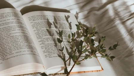 2.000 Yıllık Skandal Kitap Yeniden Gündemde: İngiltere’de En Çok Satanlar Listesinde